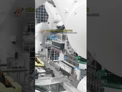 Zwei-Roboter-Clip-Einsatzzelle für die Montage von Automobilteilen